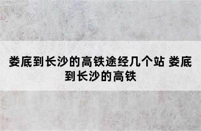 娄底到长沙的高铁途经几个站 娄底到长沙的高铁